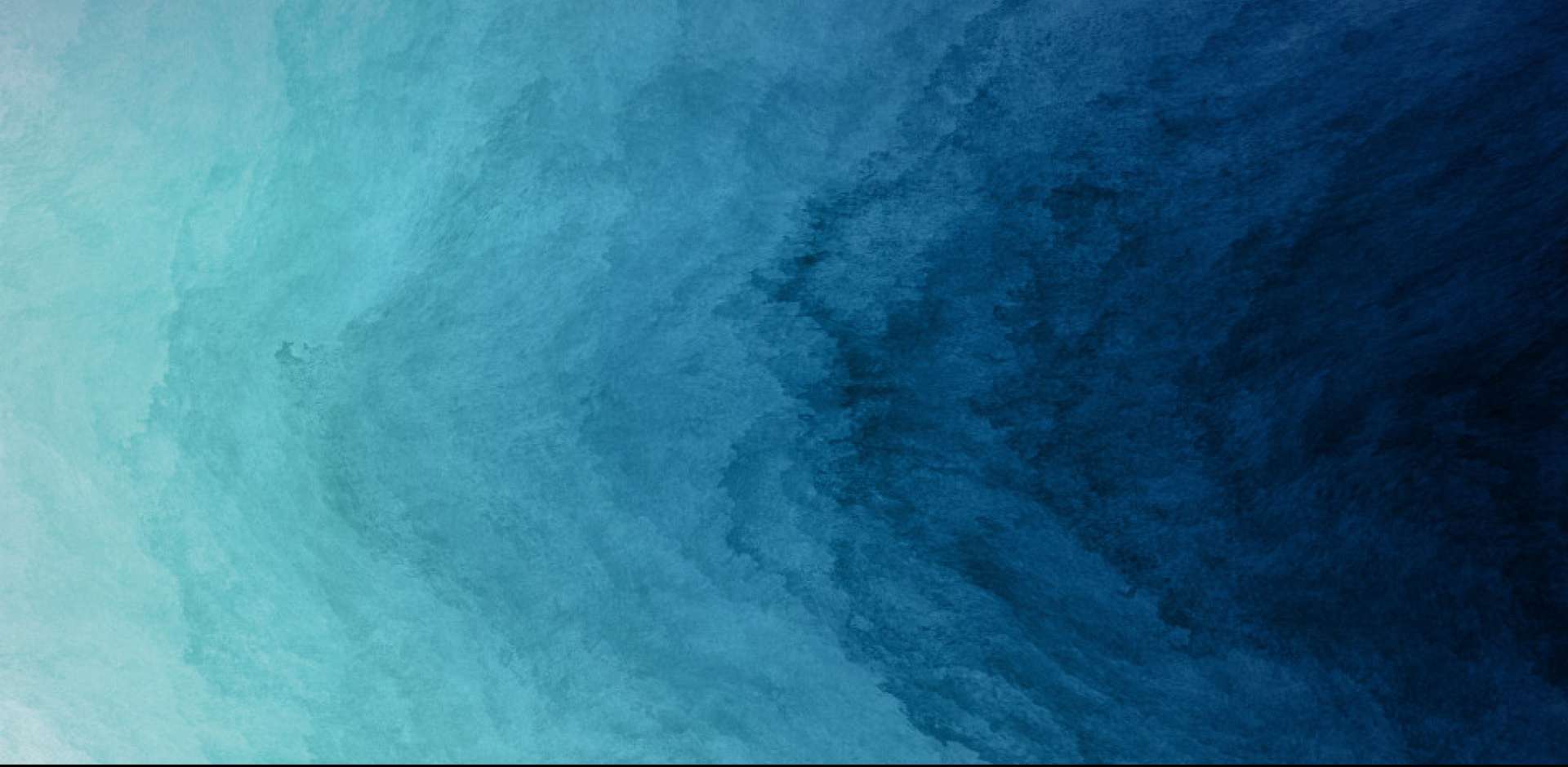 pc端banner.jpg