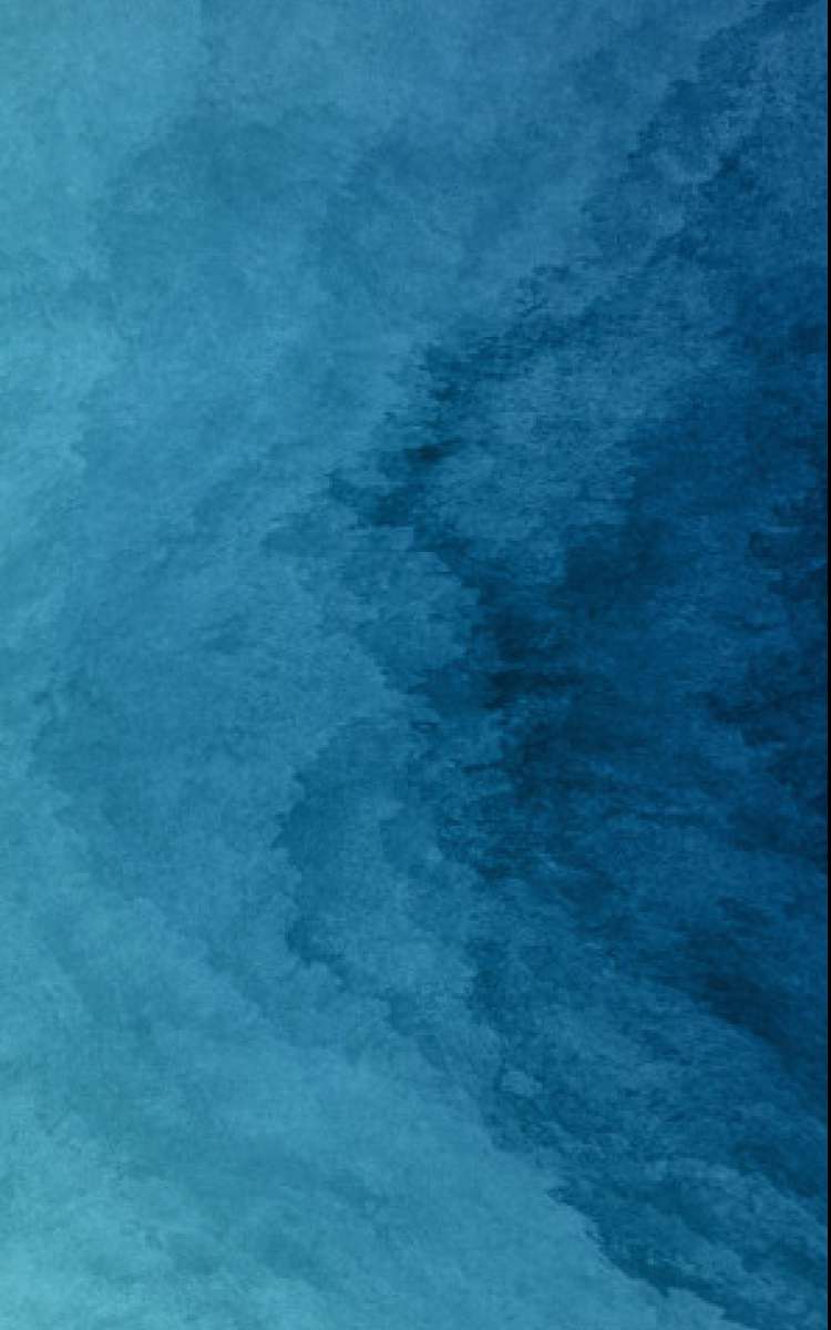 手机端banner.jpg
