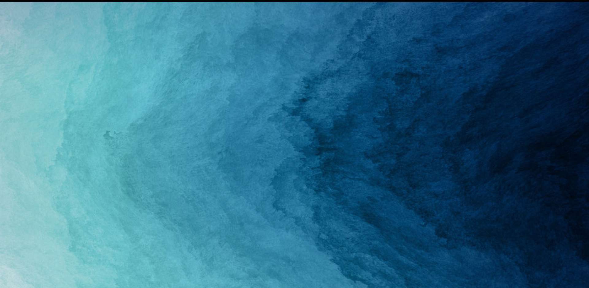 pc端banner.jpg