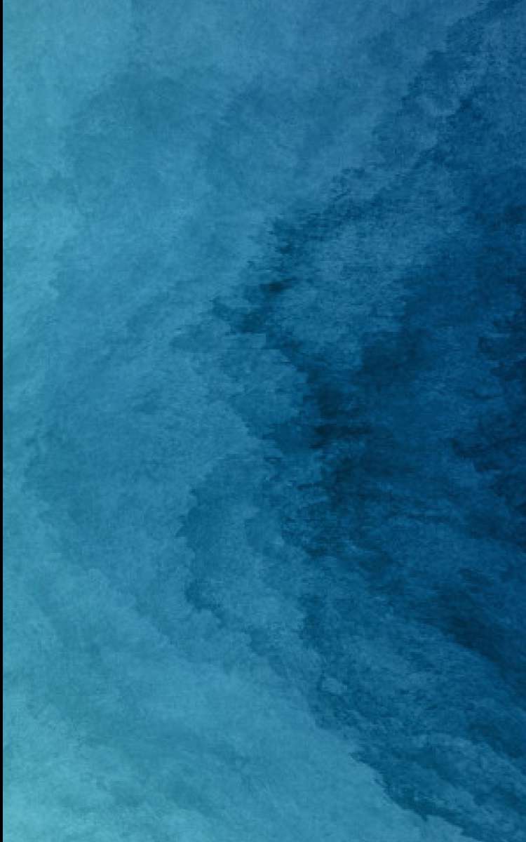 手机端banner.jpg